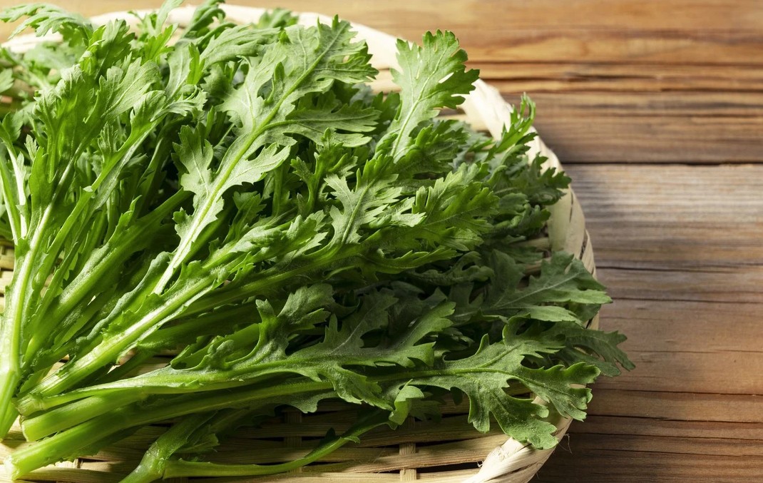 Cải cúc - Loại rau bình dị, vị thuốc trong vườn nhà