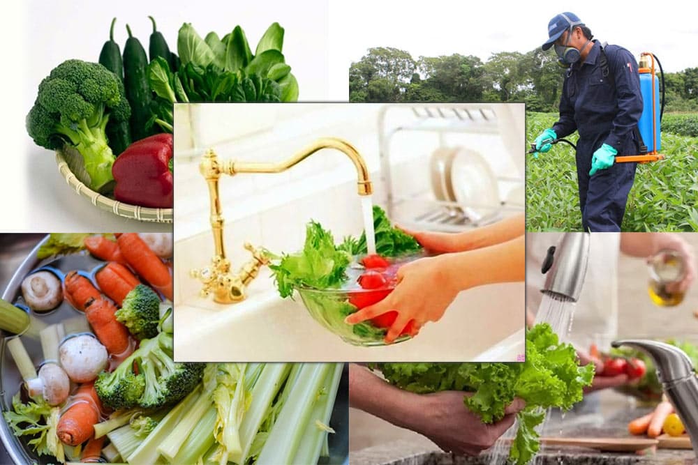 Dư lượng thuốc bảo vệ thực vật là gì? Xác định lượng tồn dư
