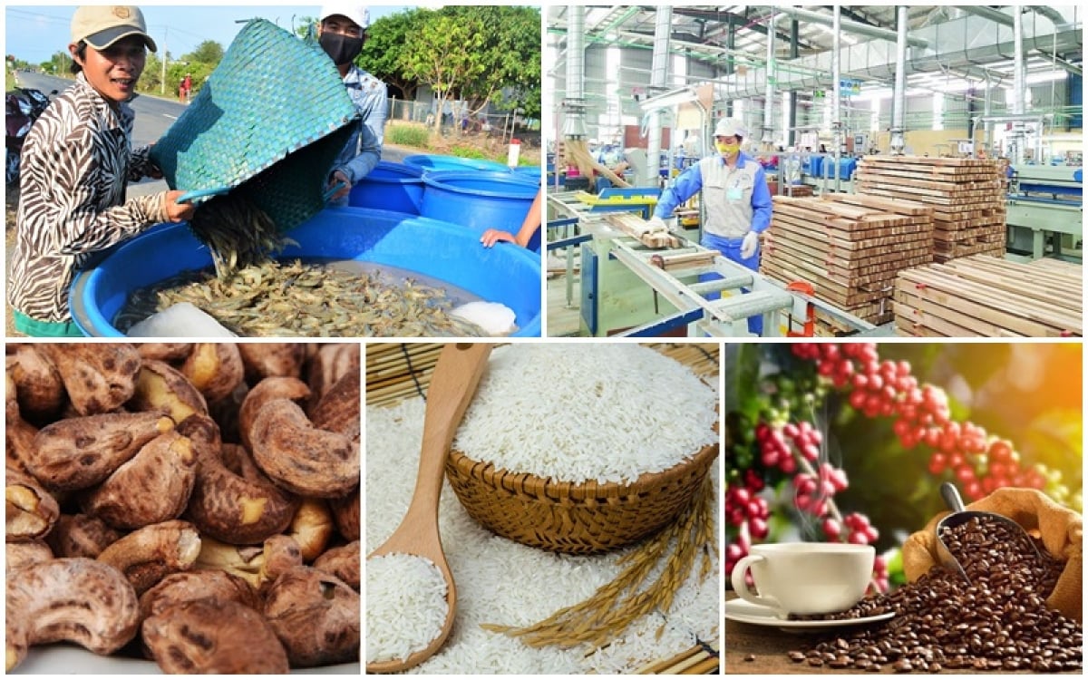 Nông sản là gì? Điều kiện an toàn thực phẩm với cơ sở sản ...