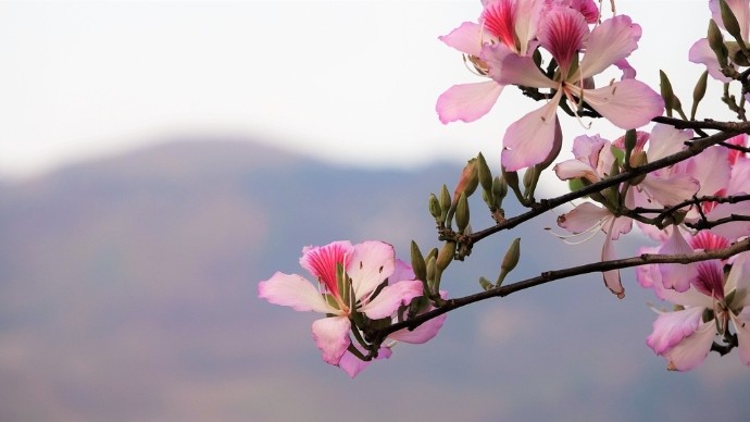 Dự báo thời tiết ngày 18/3/2026: Bắc Bộ sáng sớm có sương mù nhẹ, Nam Bộ mưa dông rải rác