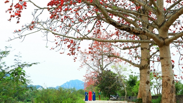 Dự báo thời tiết ngày 23/3/2026: Bắc Bộ sáng sớm có sương mù nhẹ