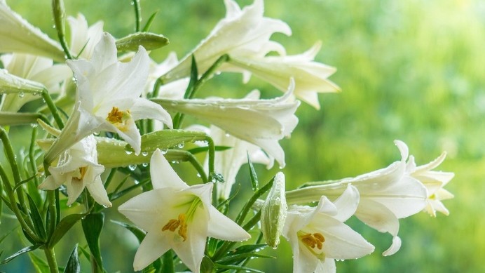 Dự báo thời tiết ngày 10/4/2026: Nắng nóng trên cả nước, có nơi 40 độ C