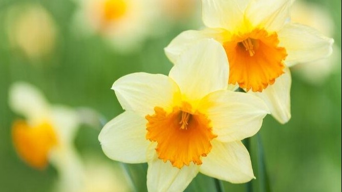 Dự báo thời tiết ngày 13/4/2026: Bắc Bộ ngày nắng nóng, gió đông nam cấp 2-3.