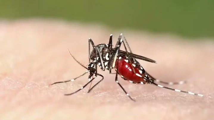 Loại trừ bệnh sốt rét, cần triển khai ngay và quyết liệt