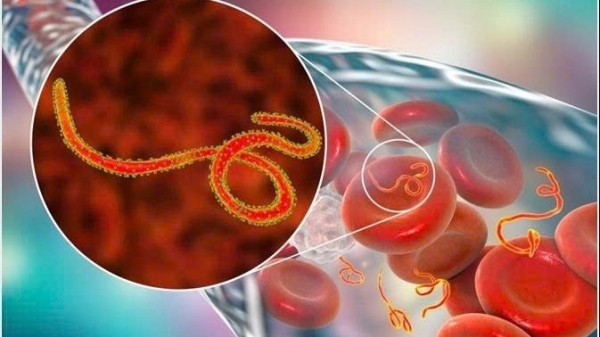 Dịch bệnh Ebola tiếp tục diễn biến phức tạp