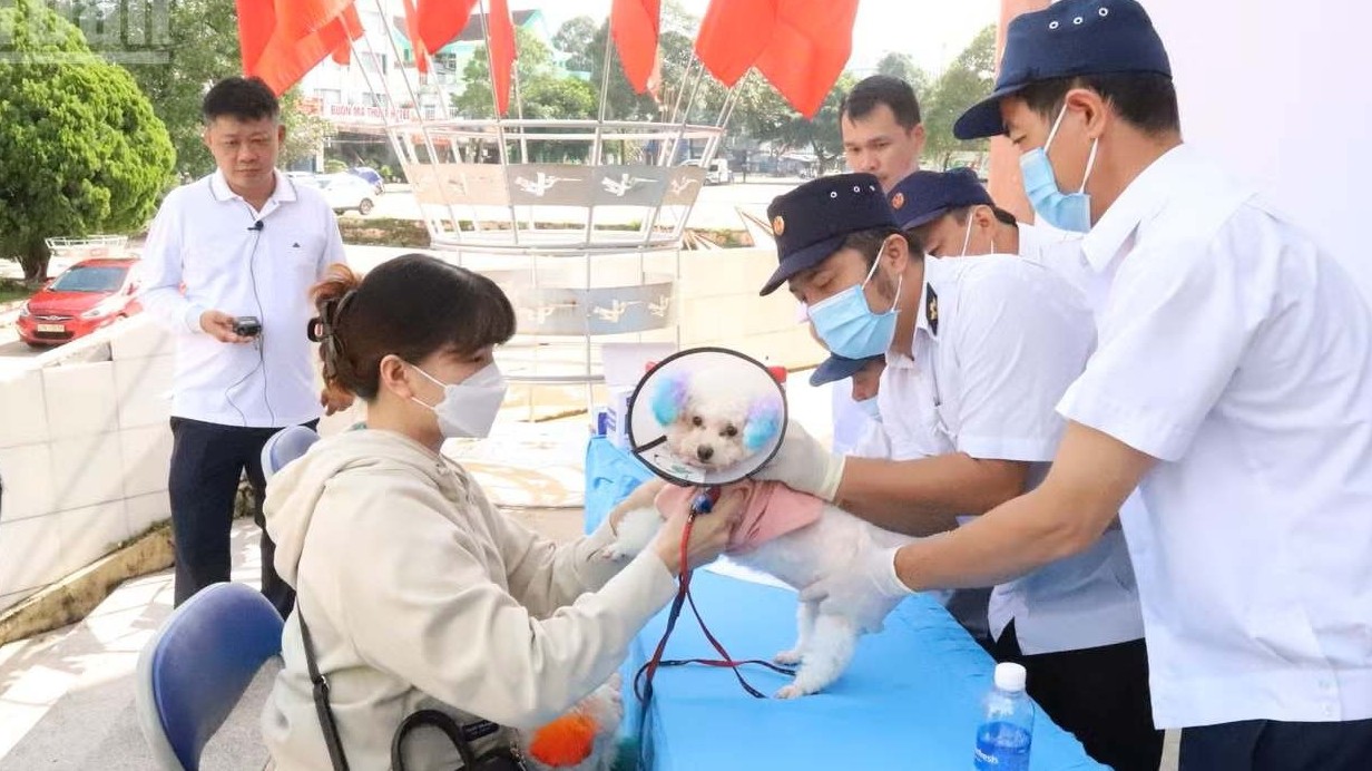 Chung tay vì mục tiêu đến năm 2030, Việt Nam sẽ không còn người tử vong do bệnh dại