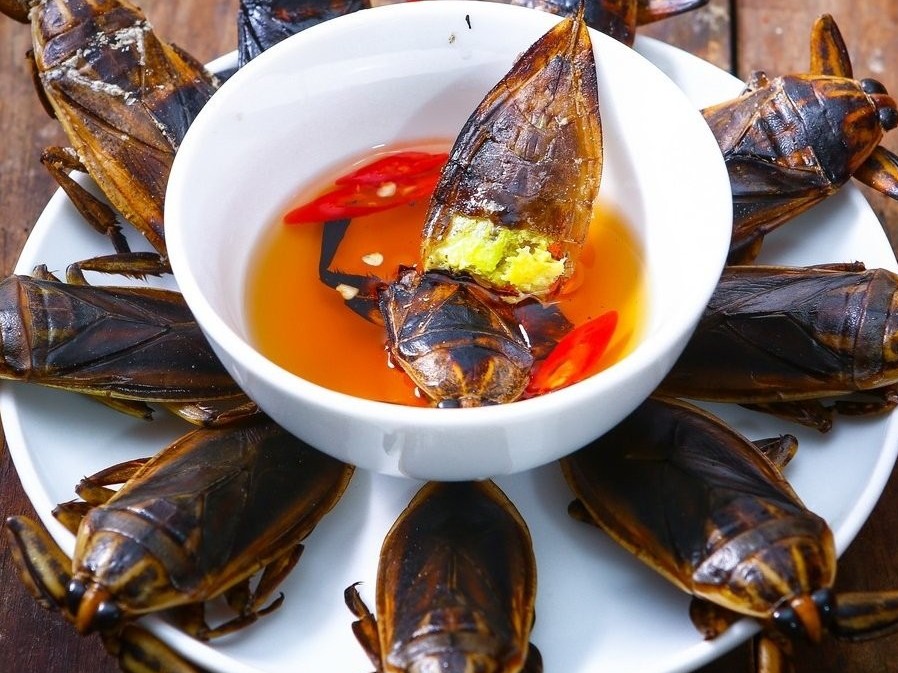 Cà Cuống- đặc sản nếm một lần là nhớ mãi