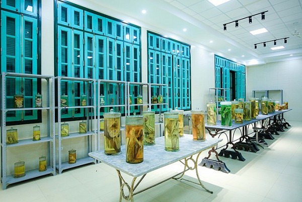 Thiếu nguồn xác hiến phục vụ nghiên cứu y học