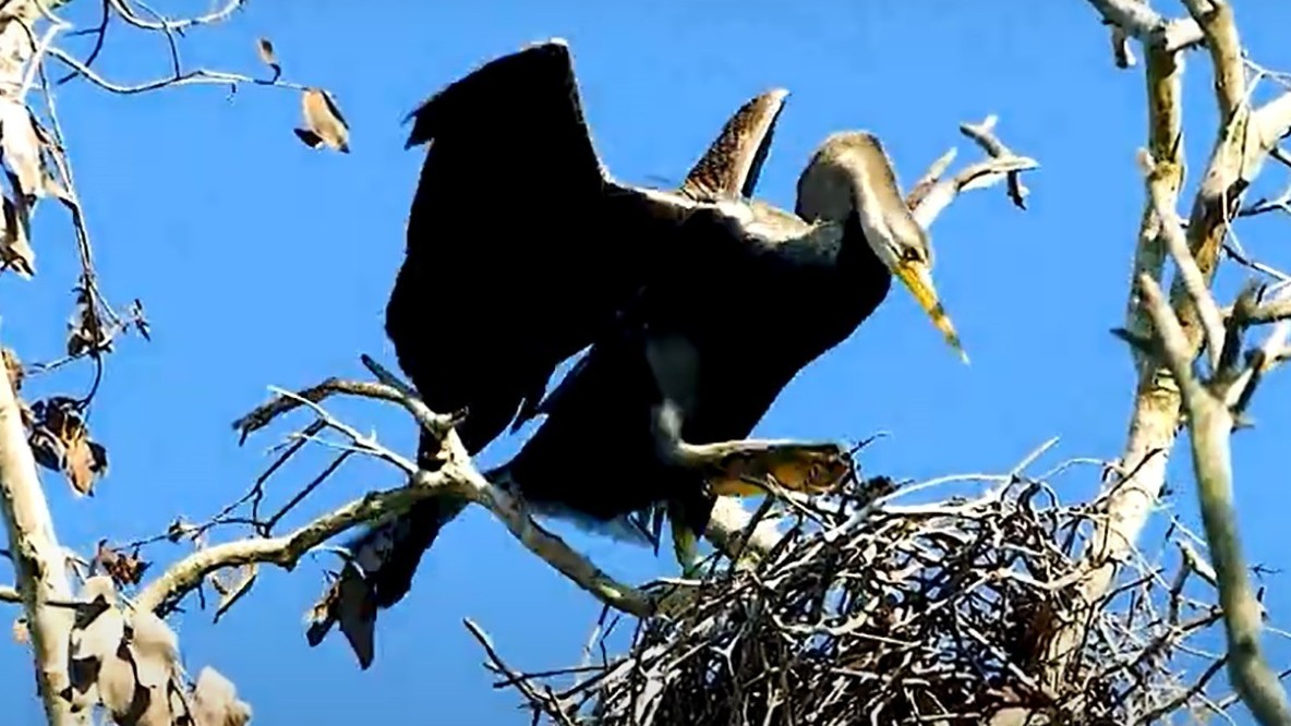 Tác động tới cộng đồng từ Liên hoan phim môi trường