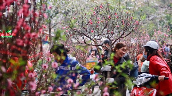 91 điểm chợ hoa xuân của Hà Nội phục vụ Tết Nguyên đán 2023