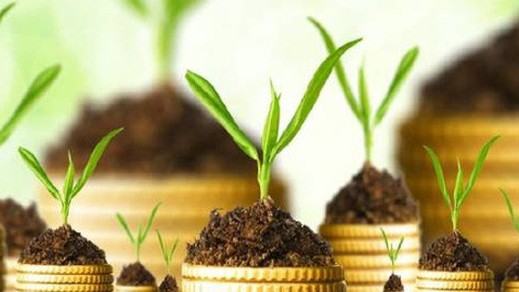 Nhiều doanh nghiệp thông báo trả và tạm ứng cổ tức