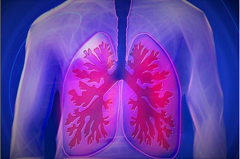 COPD là căn bệnh nguy hiểm, có thể gây tử vong nếu không được điều trị đúng cách. Ảnh: Pixabay/ https://suckhoeviet.org.vn/