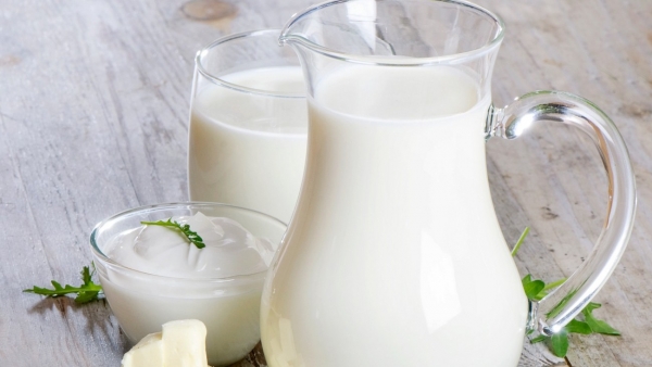 Chế phẩm từ sữa rất có lợi cho sức khỏe