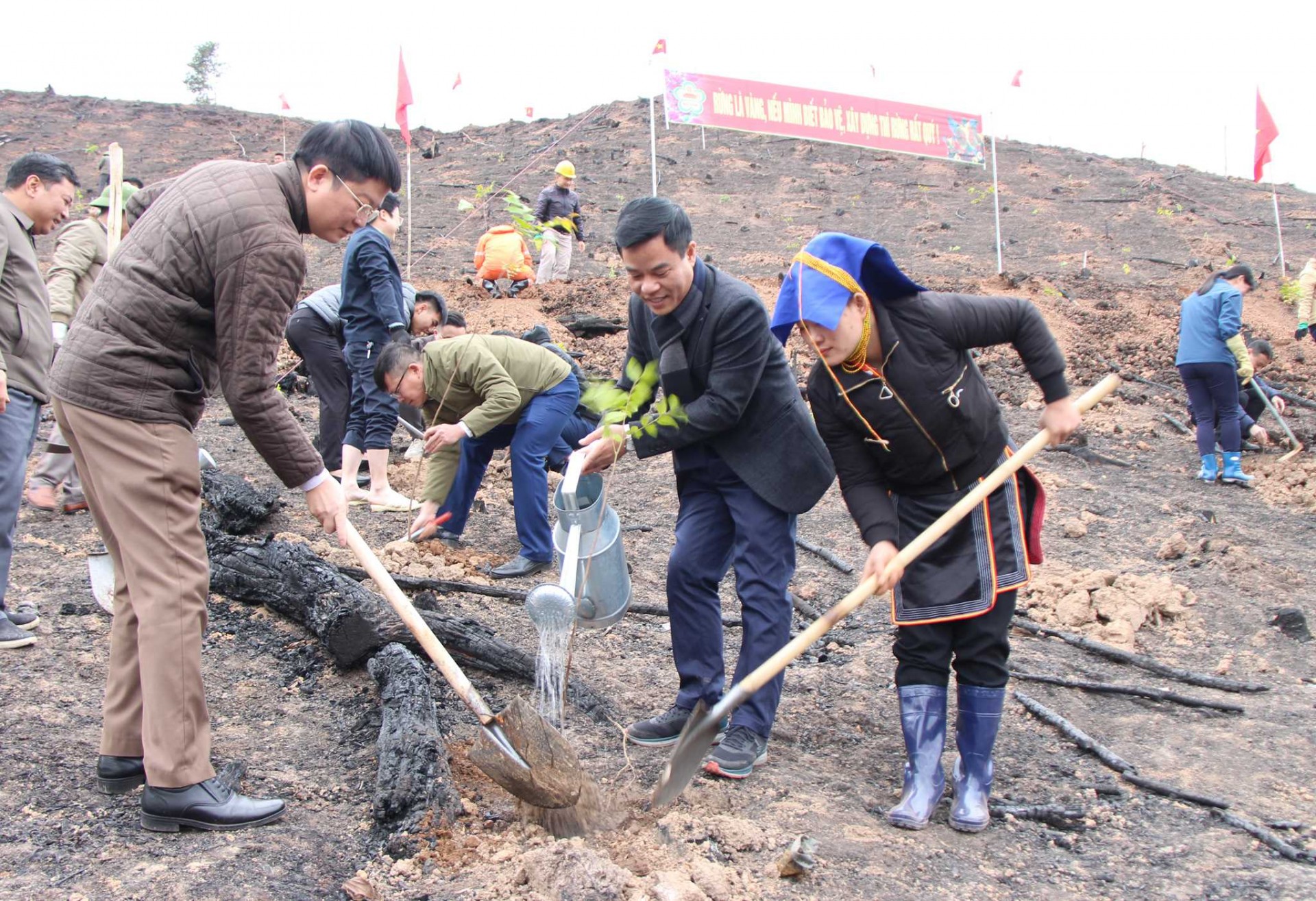 Huyện Ba Chẽ phát động Tết trồng cây xuân Quý Mão 2023/https://suckhoeviet.org.vn/
