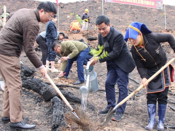 Huyện Ba Chẽ phát động Tết trồng cây xuân Quý Mão 2023
