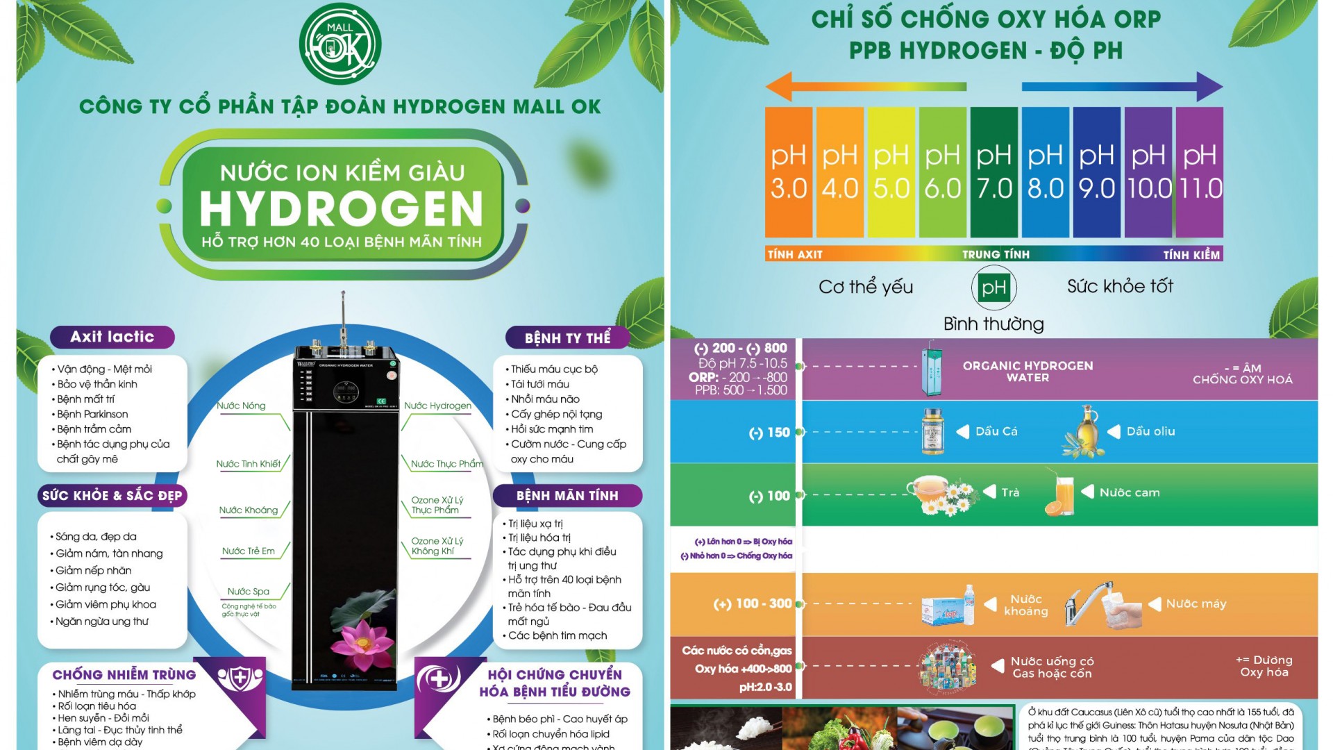 Tập đoàn Mall OK - Hành trình lan tỏa nguồn nước điện giải ion kiềm giàu hydro