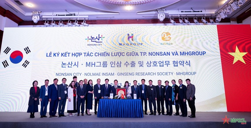 Công ty Nolmae Insam và Tập đoàn MHGroup hợp tác xuất khẩu nhân sâm Hàn Quốc