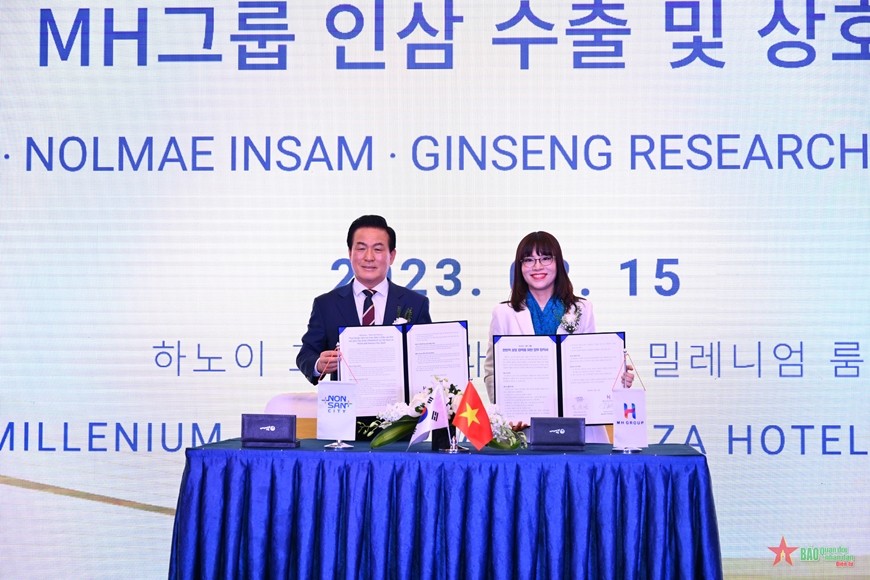 Công ty Nolmae Insam và Tập đoàn MHGroup hợp tác xuất khẩu nhân sâm Hàn Quốc