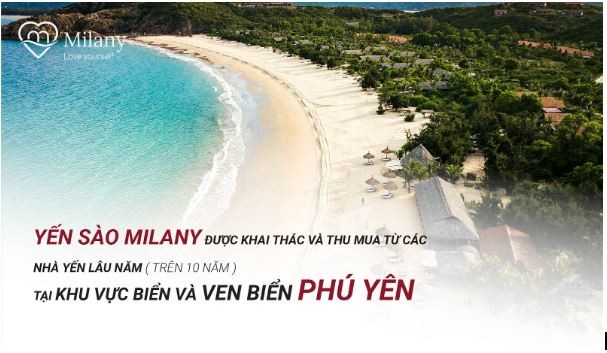 Yến chưng sẵn thuần Việt Milany giá trị cao đang thu hút