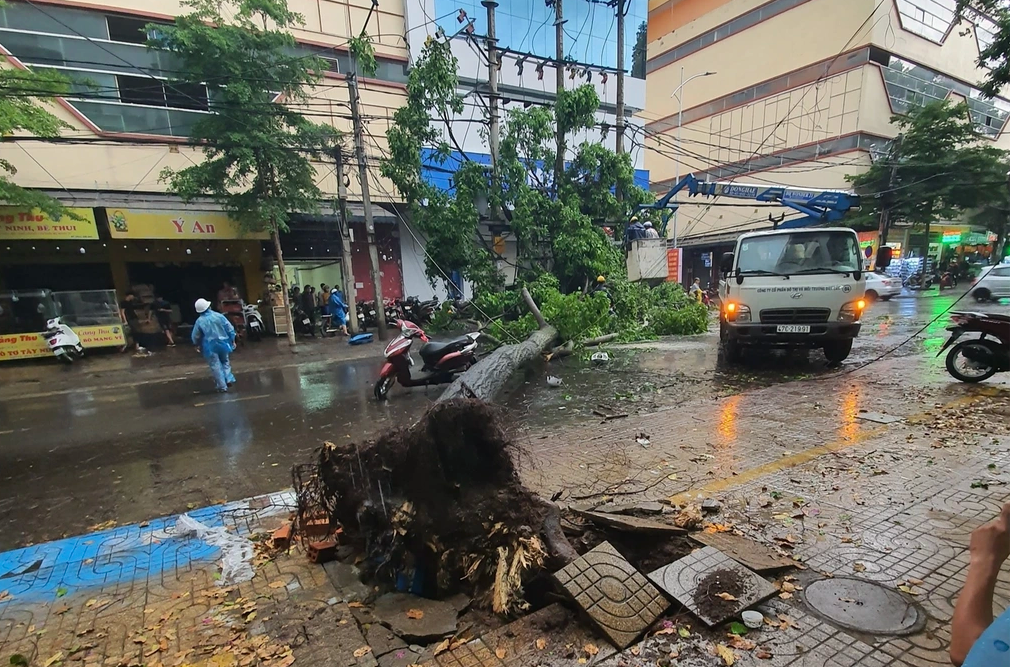 Hiện trường vụ cây lớn bật gốc, ngã đè người ở Đắk Lắk ngày 22/4. Ảnh: Uy Nguyễn.