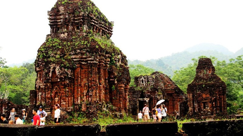 Con đường hoa sim ở Thánh địa Mỹ Sơn