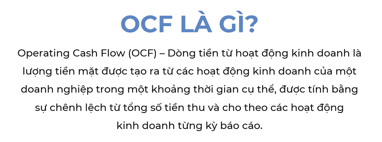 Giải đáp chất lượng lợi nhuận qua phân tích các chỉ số tài chính của Vinamilk