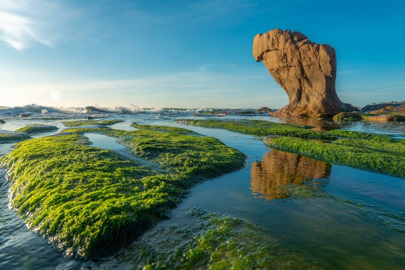 Bãi biển Cổ Thạch - một thiên đường biển hoang sơ đẹp như tranh vẽ