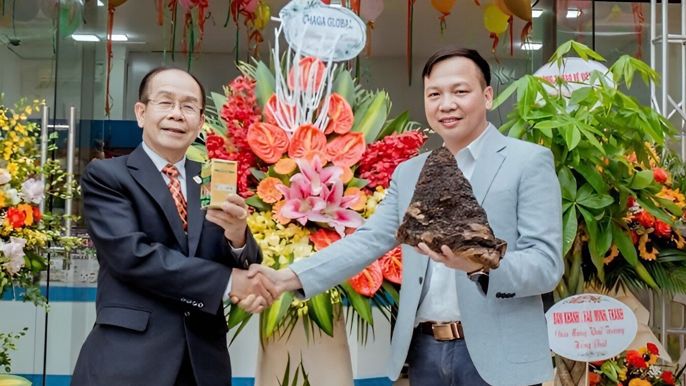 ChagaBetics Gold: Chìa khóa giảm đường huyết và biến chứng tiểu đường