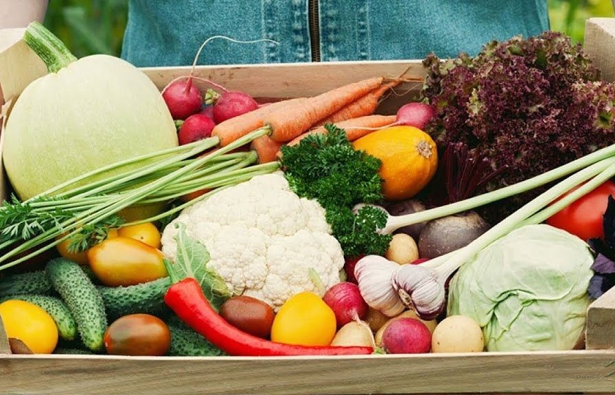 Cải tiến khoa học trong việc thúc đẩy môi trường thực phẩm lành mạnh hơn