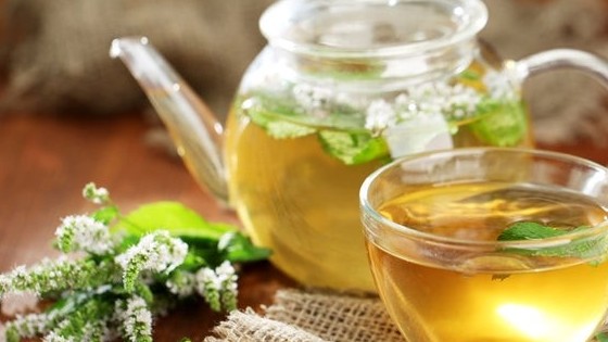 Hương nhu trắng - vị thuốc quý từ dân gian