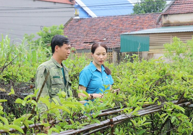 Bắc Giang tạo khu bảo quản và chế biến cây dược liệu đạt tiêu chuẩn quốc tế