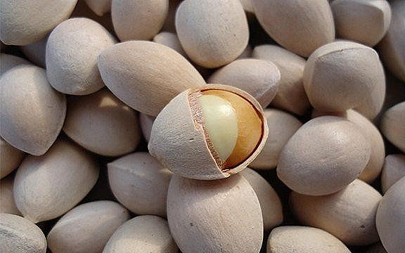 Bài thuốc bổ phế thận từ cây bạch quả