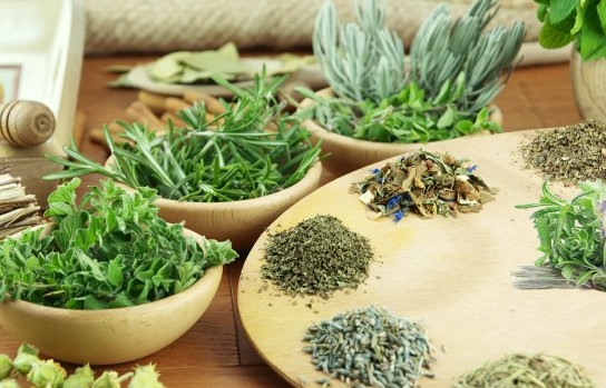 Nâng cao năng lực quản lý nhà nước về dược liệu, các sản phẩm dược liệu