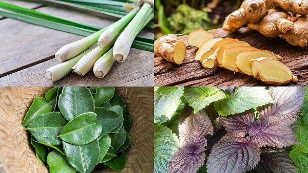 Phương pháp dùng nồi xông để điều trị cảm cúm