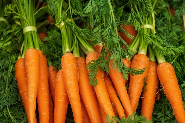 Những lợi ích hàng đầu của cà rốt