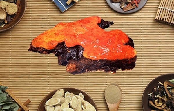 Sử dụng các hoạt chất, dược liệu hỗ trợ phòng ngừa ung thư