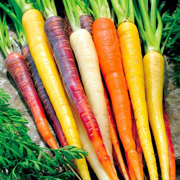 6 lợi ích hàng đầu của của cà rốt