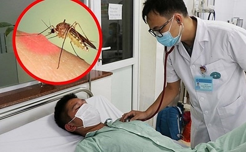 Hà Nội có thêm 72 ổ dịch sốt xuất huyết, số ca nhiễm mới tăng mạnh