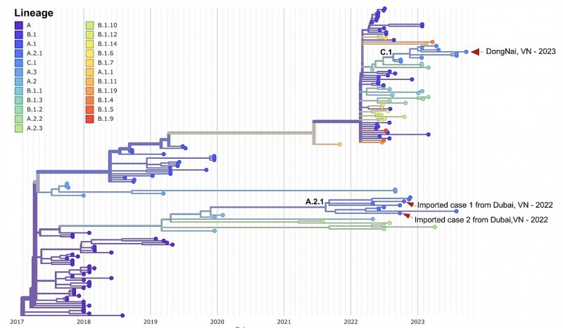 Đã có kết quả giải mã gene của ca bệnh đậu mùa khỉ nội địa đầu tiên tại TPHCM