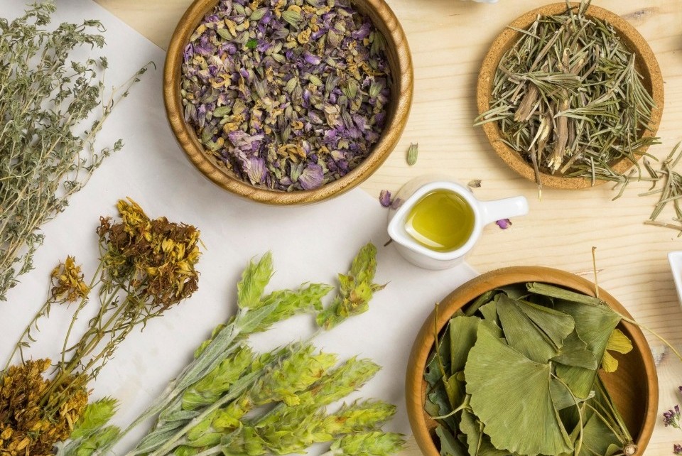 Phê duyệt Chiến lược quốc gia phát triển ngành dược Việt Nam tầm nhìn đến năm 2045