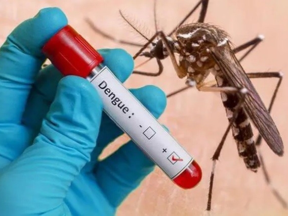 Việt Nam sẽ tiêm thử nghiệm vaccine ngừa sốt xuất huyết của Nhật Bản