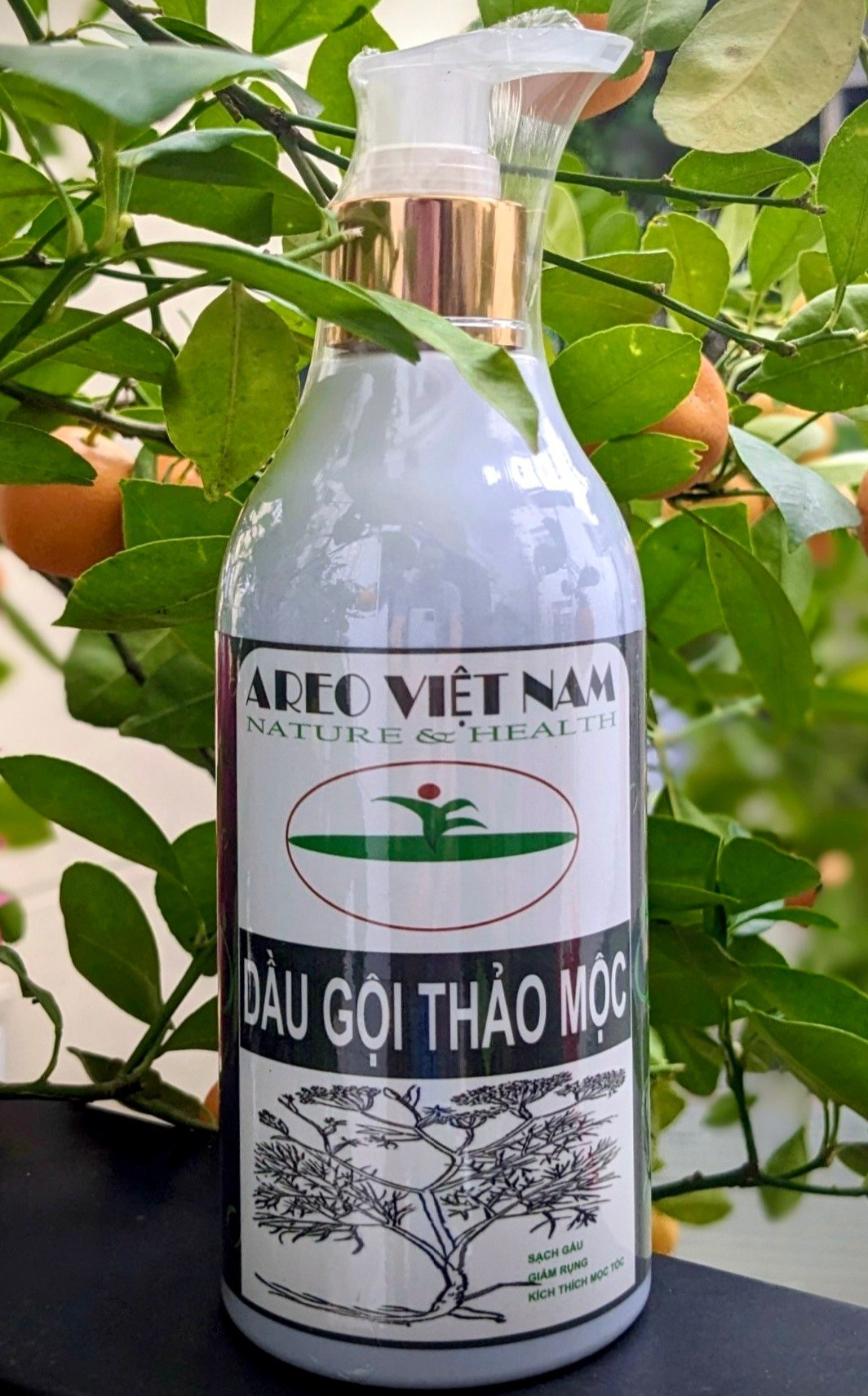 Dầu gội Thảo mộc AREO- Giảm gãy rụng, kích thích tóc mọc tự nhiên