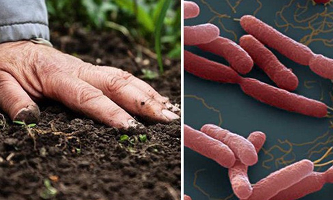 Ngành y tế Quảng Nam tăng cường công tác chẩn đoán và điều trị bệnh Whitmore