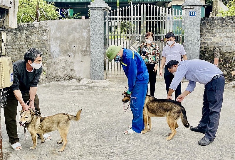 Đẩy lùi bệnh dại vì an toàn sức khỏe, tính mạng con người