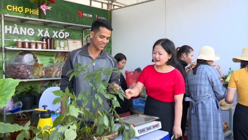 Nhiều mặt hàng dược liệu quý được giới thiệu tại Chợ phiên Dược liệu, gia súc và các sản phẩm OCOP huyện Đăk Glei năm 2023.