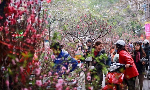 Hà Nội: Tổ chức 83 điểm Chợ Hoa Xuân phục vụ Tết Giáp Thìn 2024