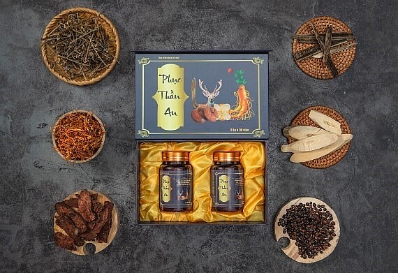 Phục Thần An – Định tâm An Thần, Phục hồi cơ thể