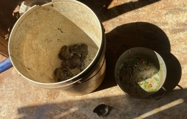 Vụ 3 trẻ ngộ độc thịt cóc ở Gia Lai: đã có 2 trường hợp tử vong