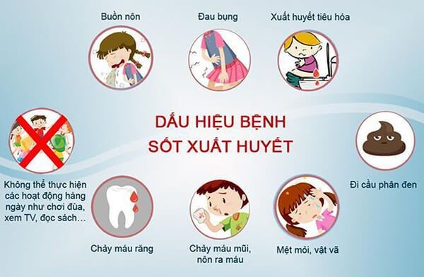 Cách phân biệt triệu chứng mắc cúm A và dịch sốt xuất huyết Cách phân biệt triệu chứng mắc cúm A và dịch sốt xuất huyết