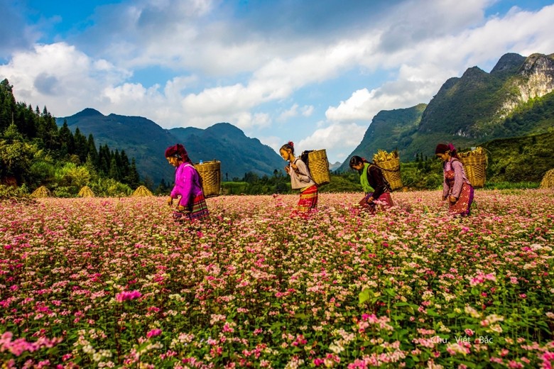 Sự phát triển đa dạng và bền vững của du lịch Hà Giang